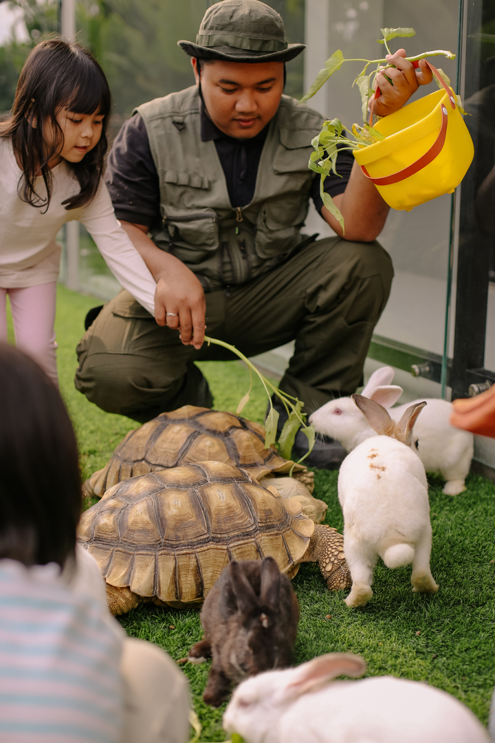 rabbit cage FSMY