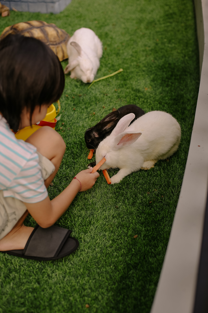 feeding animal