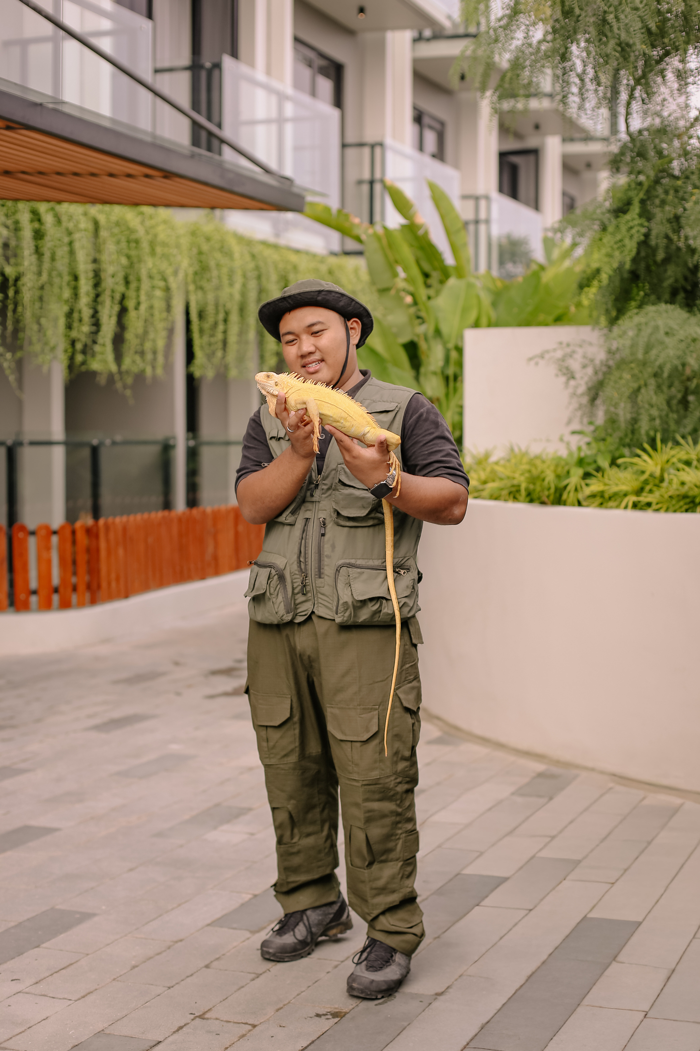 Iguana FSMY